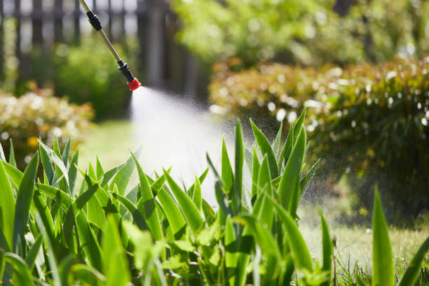 24/7 Emergency Termite Control experts in Coosada, AL