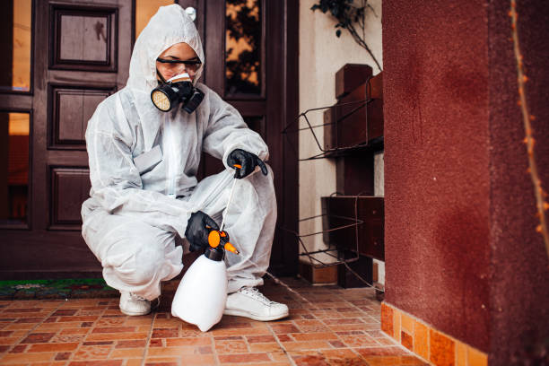 Reliable Termite Control contractor in Coosada, AL by Nex Pest Control